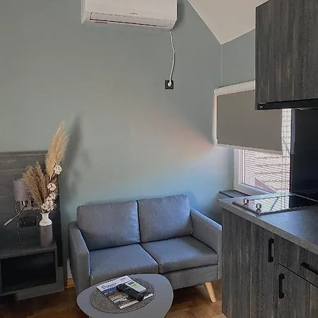 Apartment Aleksei *