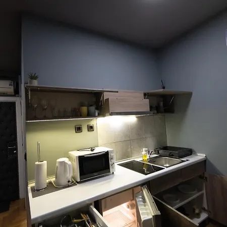 Apartment Aleksei Belgrad