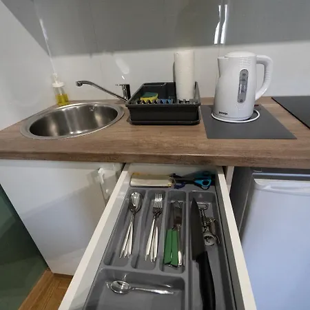 Aleksei Apartment
