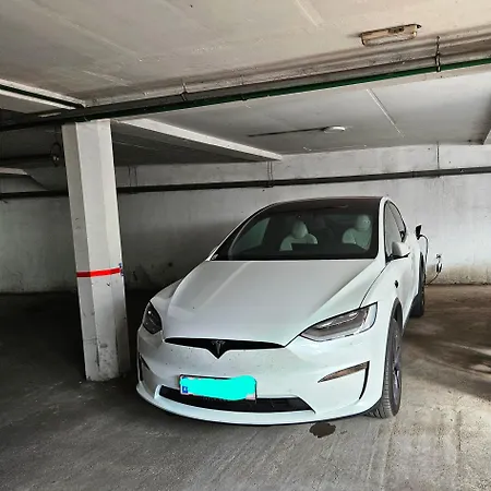 Aleksei *